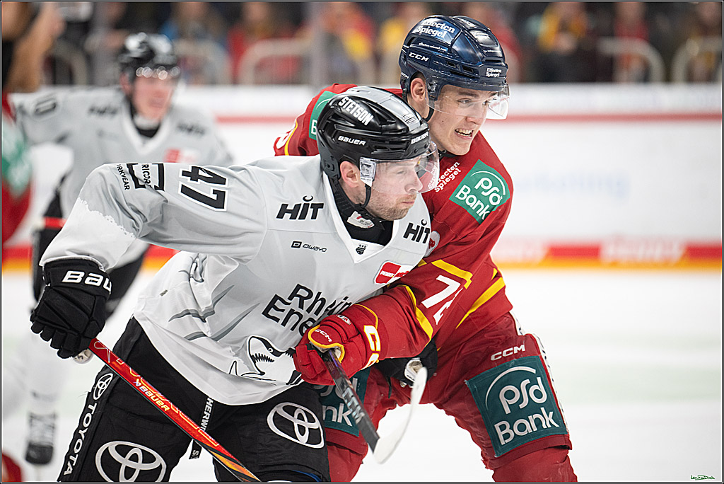 PENNY DEL; Duesseldorfer EG- Koelner Haie; Duesseldorf, 24.01.2025